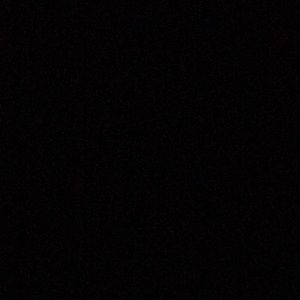 Meet your Posher, Allie